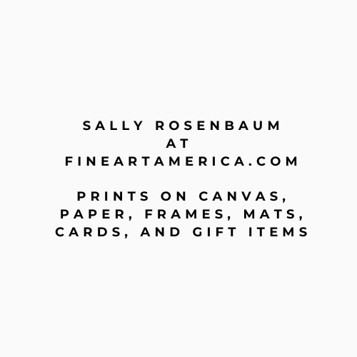 Fine art America