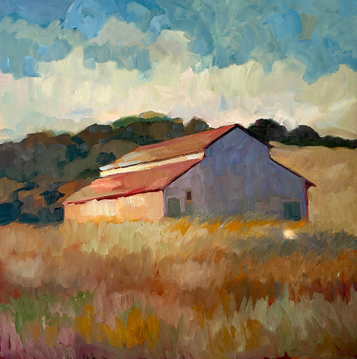 30 x 30 Barn in Petaluma