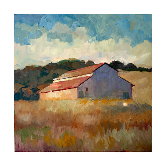 30 x 30 Barn in Petaluma