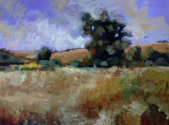 Clouds over Napa - Art Print