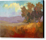 Looking west - Canvas Print