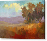 Looking west - Canvas Print
