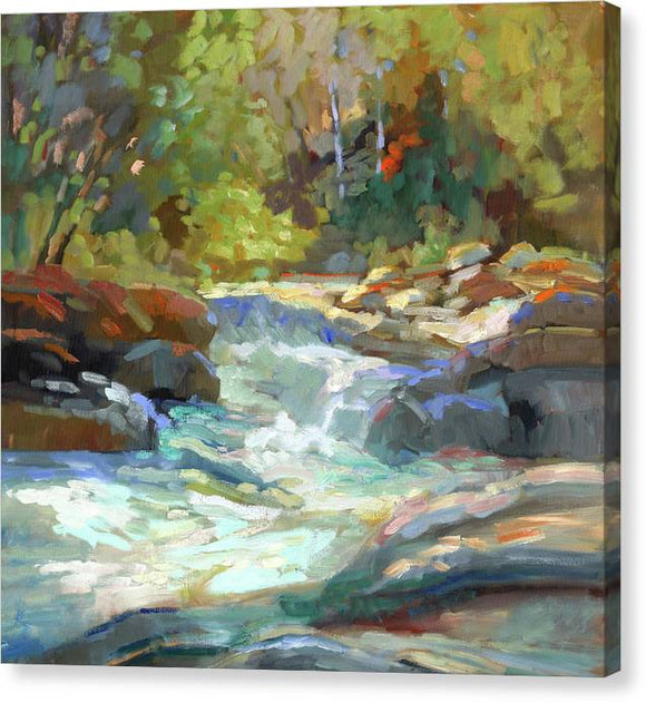 River Run - Canvas Print