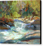 River Run - Canvas Print