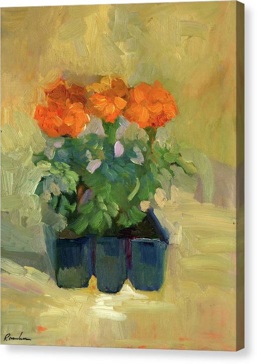 Set of Marigolds - Canvas Print