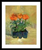 Set of Marigolds - Framed Print